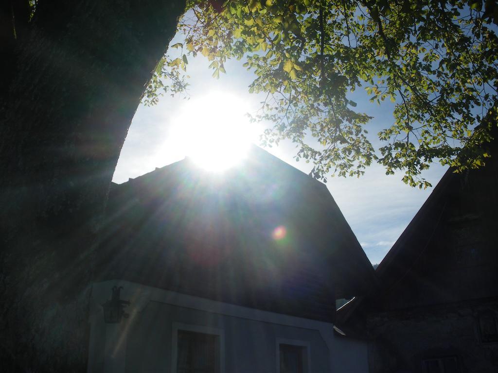 Bio-Bauernhof Kurzeck Villa Goestling an der Ybbs Exterior photo